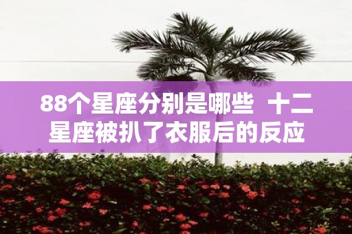 88个星座分别是哪些 十二星座被扒了衣服后的反应