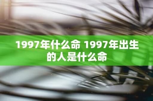 1997年什么命 1997年出生的人是什么命
