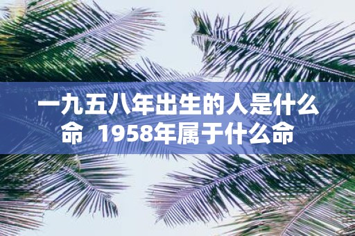 一九五八年出生的人是什么命 1958年属于什么命