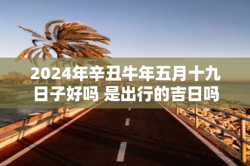 2025年辛丑牛年五月十九日子好吗 是出行的吉日吗