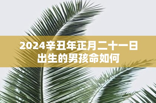 2025辛丑年正月二十一日出生的男孩命如何