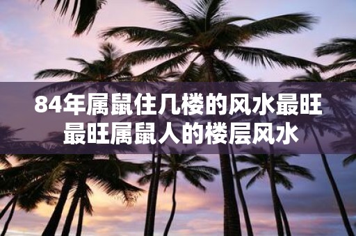 84年属鼠住几楼的风水最旺 最旺属鼠人的楼层风水