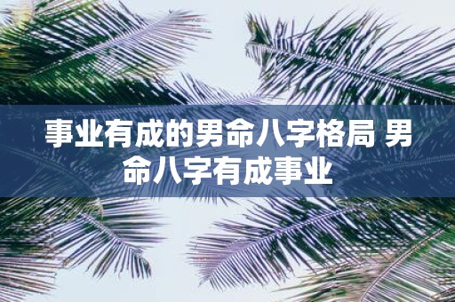 事业有成的男命八字格局 男命八字有成事业