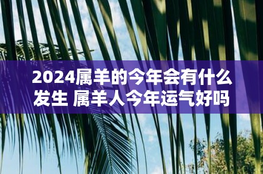 2025属羊的今年会有什么发生 属羊人今年运气好吗