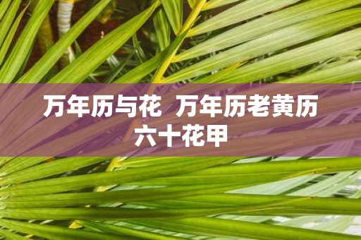 万年历与花 万年历老黄历六十花甲