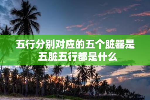 五行分别对应的五个脏器是 五脏五行都是什么
