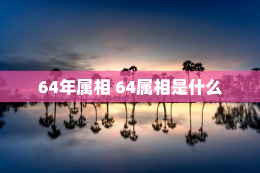 64年属相 64属相是什么