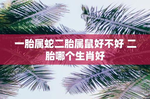一胎属蛇二胎属鼠好不好 二胎哪个生肖好