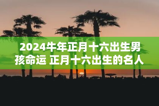 2025牛年正月十六出生男孩命运 正月十六出生的名人