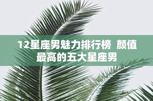 12星座男魅力排行榜 颜值最高的五大星座男
