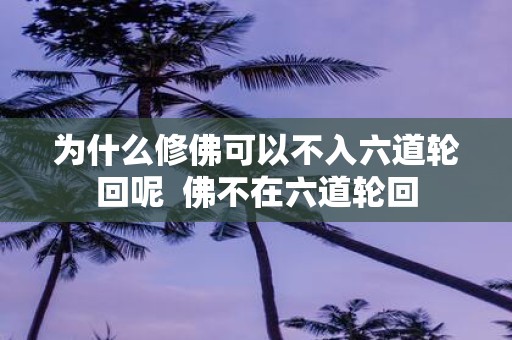 为什么修佛可以不入六道轮回呢 佛不在六道轮回