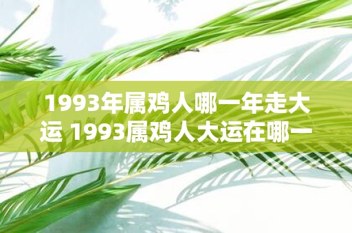 1993年属鸡人哪一年走大运 1993属鸡人大运在哪一年