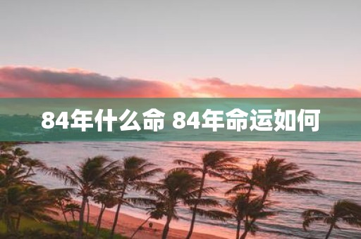 84年什么命 84年命运如何