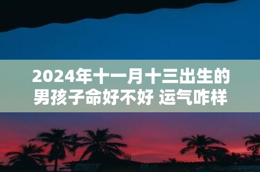 2025年十一月十三出生的男孩子命好不好 运气咋样