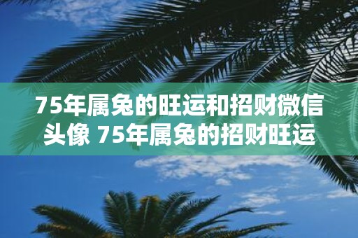 75年属兔的旺运和招财微信头像 75年属兔的招财旺运微信头像