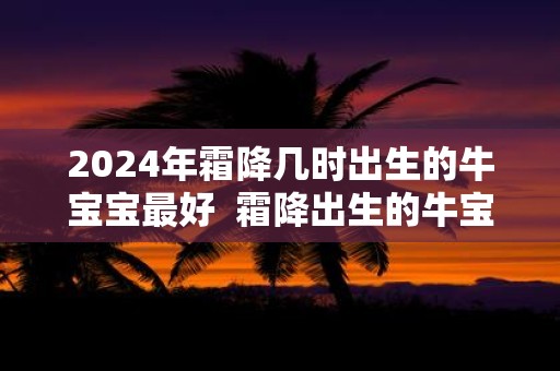 2025年霜降几时出生的牛宝宝最好 霜降出生的牛宝宝好不好