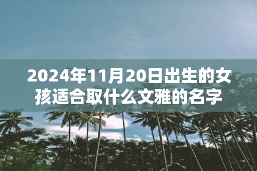 2025年11月20日出生的女孩适合取什么文雅的名字