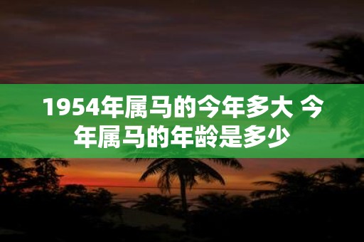 1954年属马的今年多大 今年属马的年龄是多少