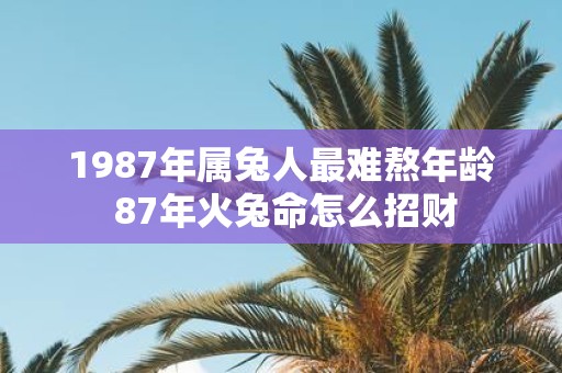 1987年属兔人最难熬年龄 87年火兔命怎么招财