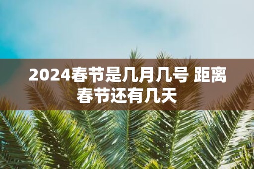 2025春节是几月几号 距离春节还有几天