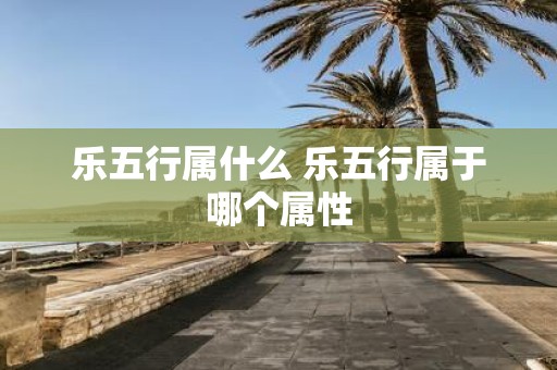 乐五行属什么 乐五行属于哪个属性