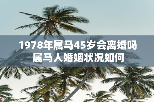 1978年属马45岁会离婚吗 属马人婚姻状况如何