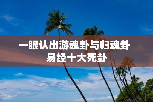 一眼认出游魂卦与归魂卦 易经十大死卦