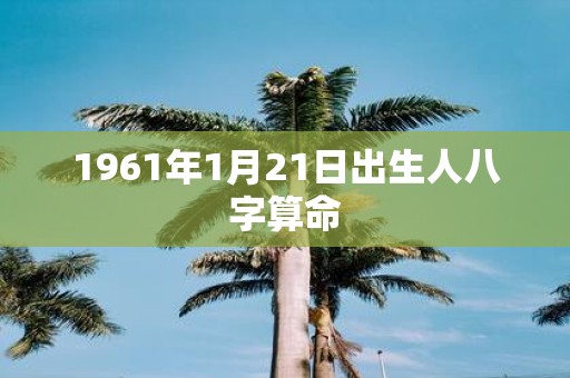 1961年1月21日出生人八字算命