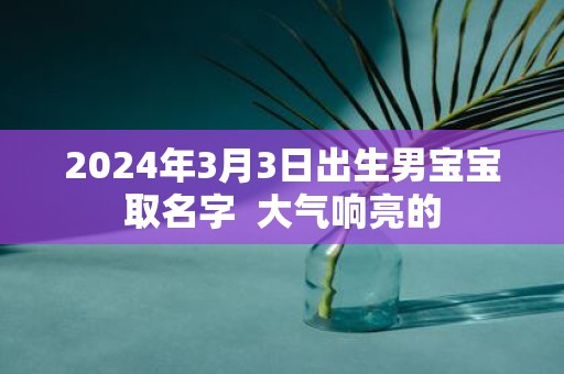2025年3月3日出生男宝宝取名字 大气响亮的