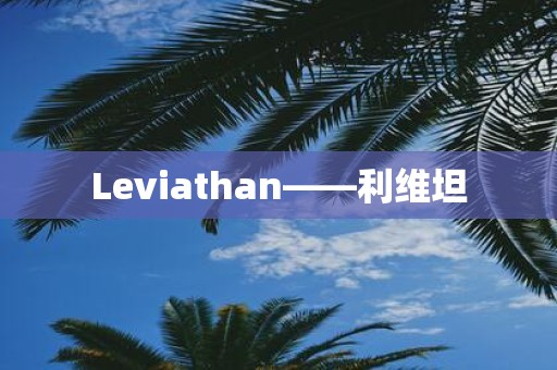 Leviathan——利维坦