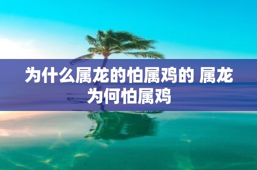 为什么属龙的怕属鸡的 属龙为何怕属鸡