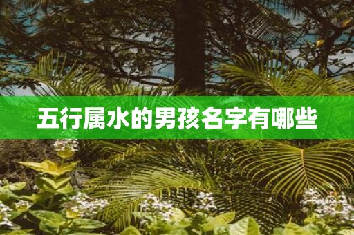 五行属水的男孩名字有哪些