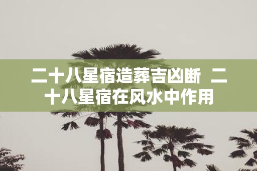 二十八星宿造葬吉凶断 二十八星宿在风水中作用