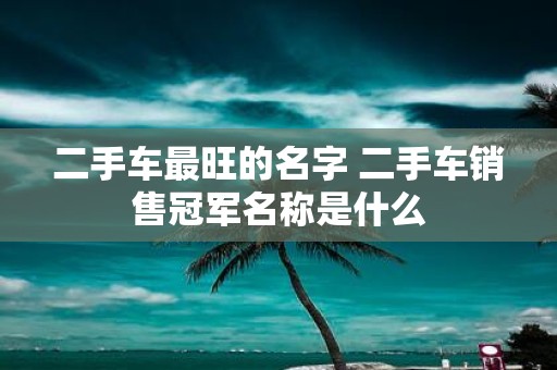 二手车最旺的名字 二手车销售冠军名称是什么