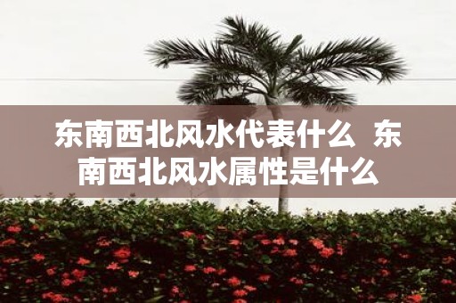 东南西北风水代表什么 东南西北风水属性是什么