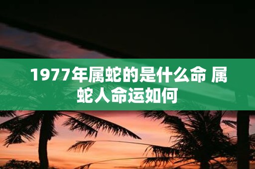 1977年属蛇的是什么命 属蛇人命运如何