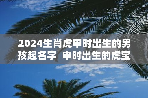 2025生肖虎申时出生的男孩起名字 申时出生的虎宝宝