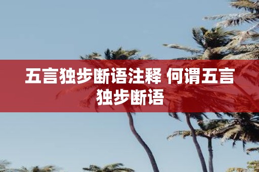 五言独步断语注释 何谓五言独步断语