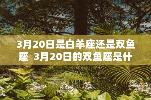 3月20日是白羊座还是双鱼座 3月20日的双鱼座是什么属性