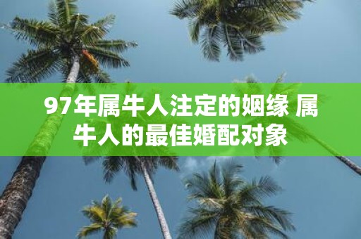 97年属牛人注定的姻缘 属牛人的最佳婚配对象