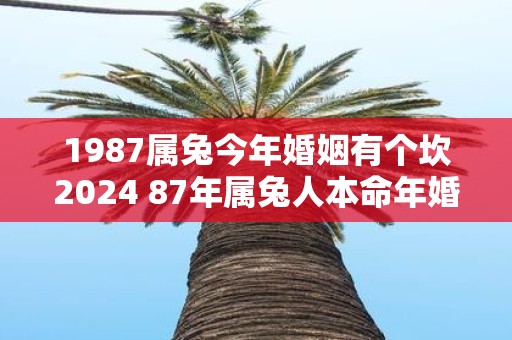1987属兔今年婚姻有个坎2025 87年属兔人本命年婚姻运势