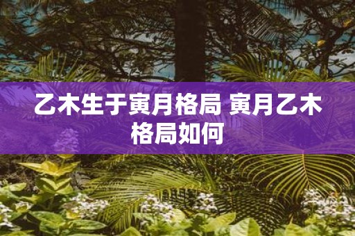 乙木生于寅月格局 寅月乙木格局如何