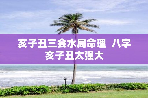 亥子丑三会水局命理 八字亥子丑太强大