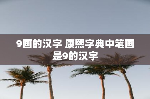 9画的汉字 康熙字典中笔画是9的汉字