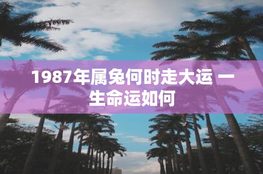 1987年属兔何时走大运 一生命运如何