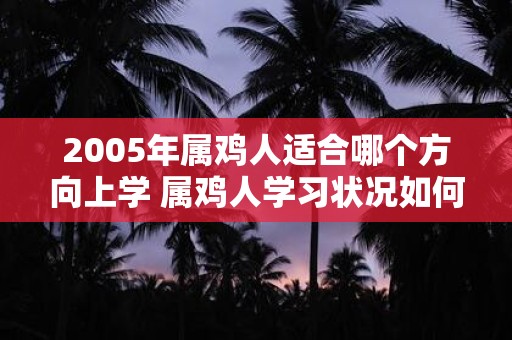 2005年属鸡人适合哪个方向上学 属鸡人学习状况如何