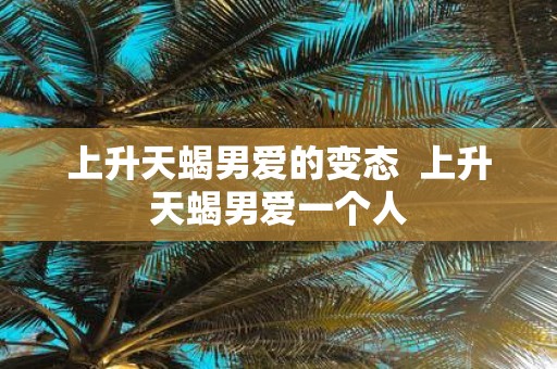 上升天蝎男爱的变态 上升天蝎男爱一个人
