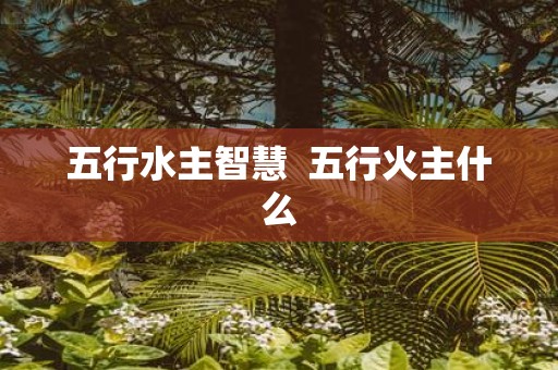 五行水主智慧 五行火主什么