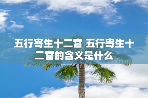 五行寄生十二宫 五行寄生十二宫的含义是什么