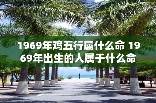 1969年鸡五行属什么命 1969年出生的人属于什么命